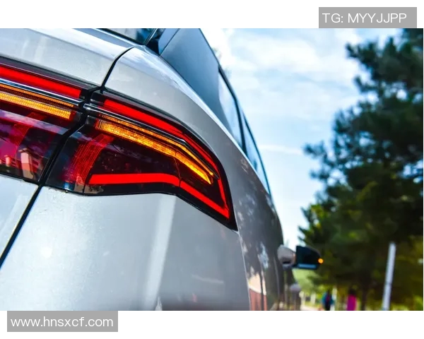 刘泽一的成长之路：从普通学生到优秀人才的蜕变历程